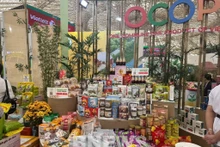 附图。（图片来源：bnews.vn）