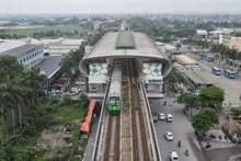 丙午年春节河内市提供免费公共交通服务。（图片来源：越通社）