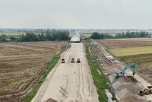 附图。（图片来源：越通社）