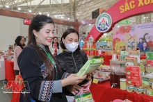 谅山省展位。（图片来源：越通社）