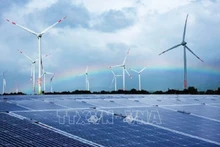 附图。（图片来源：越通社）