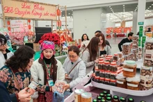 游客在春季博览会上参观和购物产品。（图片来源：越通社）