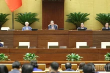 第十五届国会第十次会议：着力提高人民生活质量。（维灵 摄）