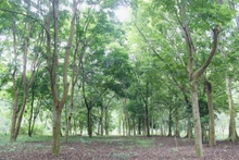 体验浦活自然保护区的“微型世界”。