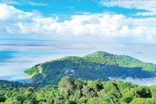 薯岛拥有独一无二的地理位置，可以俯瞰浩瀚的大洋。