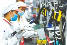 2025年前11月越南新设企业和复工复产企业数量同比增长 26.1%【图表新闻】