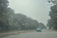 空气污染给河内民众生活带来严重影响。