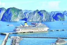 载有3000多名乘客的五星级歌诗达宁静号邮轮停靠下龙国际港。（阮登 摄）