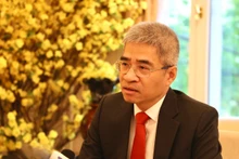 越南驻德国大使阮得成接受记者的采访。（图片来源：越通社）