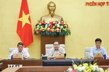 国会主席陈青敏发表讲话。（图片来源：越通社）