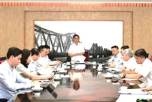 越南政府副总理胡德福在会议上发表讲话。（图片来源：VGP）