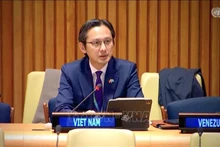 越南常驻联合国代表团团长杜雄越大使出席专题全体讨论。（图片来源：越通社）