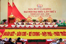 越南共产党林同省第一次代表大会（2025-2030年任期）于10月11日圆满闭幕。（梅文宝 摄）