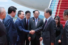 越南国会副主席陈光方同各部委、机构与河内市领导代表在内排国际机场迎接中国全国人大常委会委员长赵乐际。（图片来源：越通社）