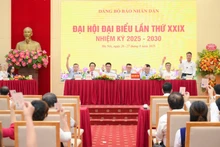 与会代表进行表决。