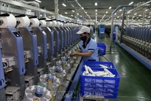 附图。（图片来源：越通社）