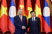 越共中央总书记苏林与老挝人革党中央总书记、国家主席通伦·西苏里。（图片来源：越通社）