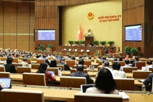 国会表决通过《紧急状态法》。（维灵 摄）