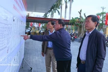 海进乡第三投票区的选民正在了解国会代表及各级人民议会代表候选人的相关信息。（图片来源：越通社）