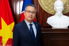 越南驻安哥拉特命全权大使杨政职。（图片来源：越通社）