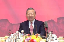 苏林总书记会见出席越共十四大的越南驻外大使和驻外机构首席代表