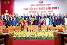 越共同塔省委员会（2025至2030年任期）亮相大会。（图片来源：越通社）