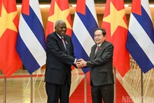 越南国会主席陈青敏和古巴全国人民政权代表大会主席兼国务委员会主席埃斯特万·拉索·埃尔南德斯。