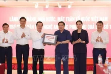 越共中央政治局委员、中央书记处书记、中央内政部部长潘廷镯向义安省人民移交党、国家、越南祖国阵线领导的援助物资。（图片来源：越通社）