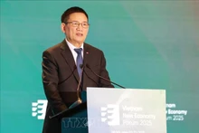 越南政府副总理胡德福在会上致辞。（图片来源：越通社）