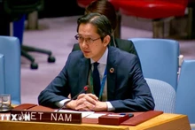 越南常驻联合国代表团团长杜雄越。