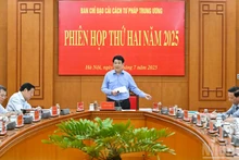 越南国家主席、越共中央司法改革指导委员会主任梁强主持会议。