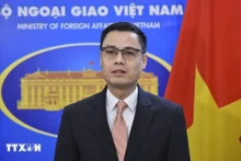 越南外交部副部长邓黄江。（图片来源：越通社）