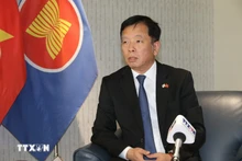 越南驻韩国大使武胡。(图片来源:越通社)
