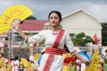 卡特节于10月20日下午在庆和省福友乡友德村体育场正式开幕。（图片来源：越通社）