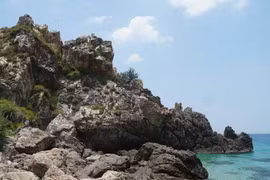 来到嘉莱省体验龙鳍岬原始自然之美。
