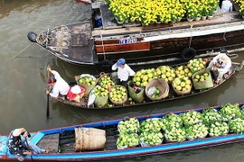 附图。（玉梅 摄）