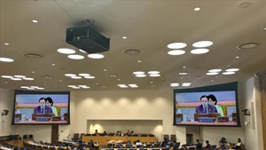 联合国大会上周通过了关于筹备防控疫情高级别会议的决议。图为会议场景。（图片来源：越通社）