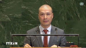 越南常驻联合国代表团副团长阮黄原公使与会。