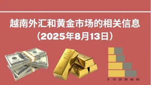 越南外汇和黄金市场的相关信息【图表新闻】
