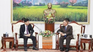 越共中央委员、越南外交部党委常务副书记、外交部副部长阮孟强（左）礼节性拜会老挝人民革命党中央政治局委员、中央书记处常务书记维莱·拉坎丰。（图片来源：越通社）