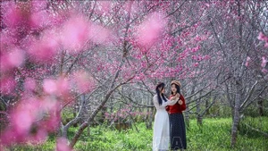 附图：2026年伊始奠边省旅游业迎来积极信号。（图片来源：越通社）