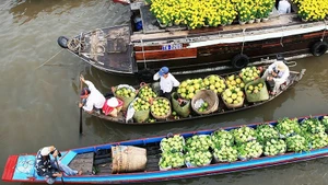 附图。（玉梅 摄）