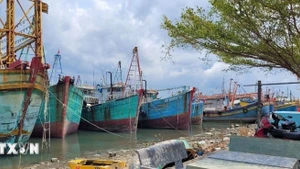 附图。（图片来源：越通社）