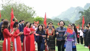 范氏清茶副总理出席老街省阿木充（A Mú Sung）、伊子（Y Tý）、芒姜（Mường Khương）、帕隆（Pha Long）4个边境乡4所九年一贯制寄宿学校开工仪式。