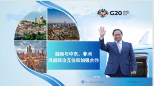 越南与中东、非洲国家巩固政治互信和加强合作