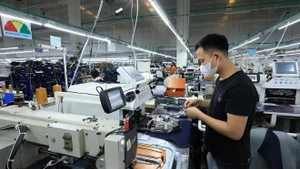 附图。（图片来源：越通社）