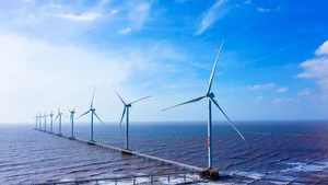 附图。（图片来源：越通社）