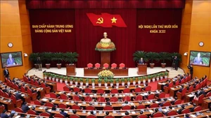 11月6日上午，越南共产党第十三届中央委员会第十四次会议召开。（图片来源：越通社）