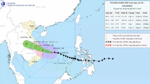 第13号台风风力达17级。