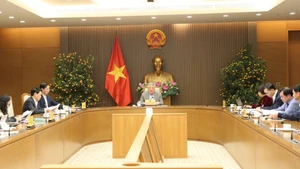 政府常务副总理阮和平主持会议。